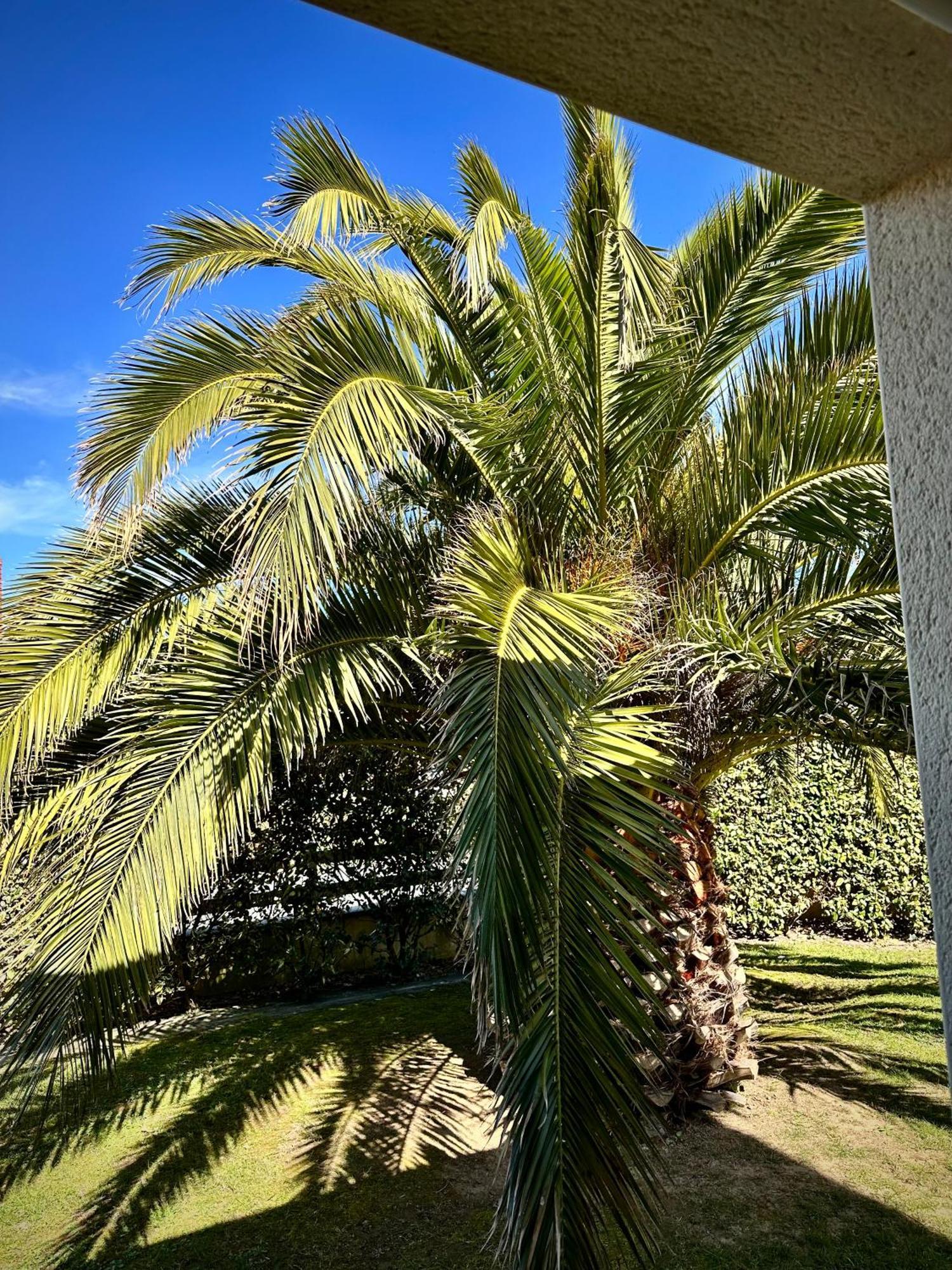 Les Palmiers Gite 7 Personnes Plages Du Debarquement Grandcamp-Maisy Exterior foto